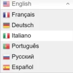 Translate with GTranslate